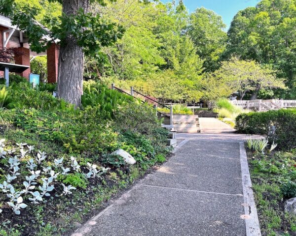 Garden walkway at the museum, with the entrance arch at top left