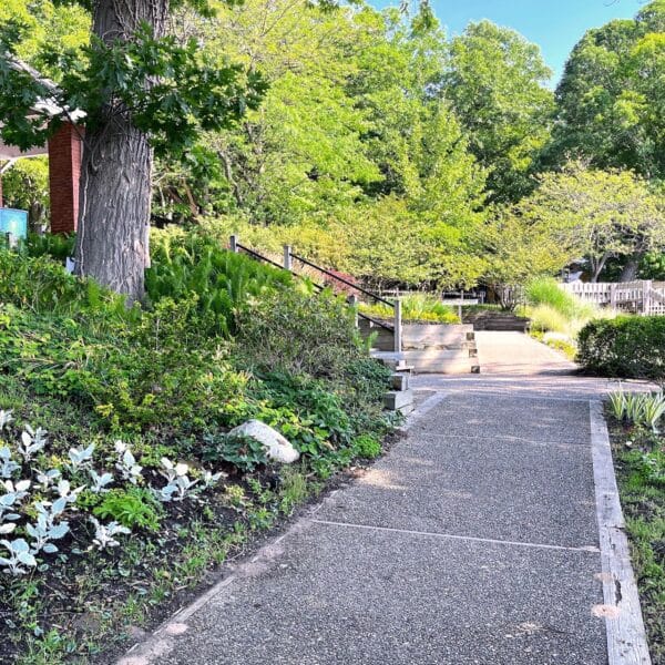 Garden walkway at the museum, with the entrance arch at top left